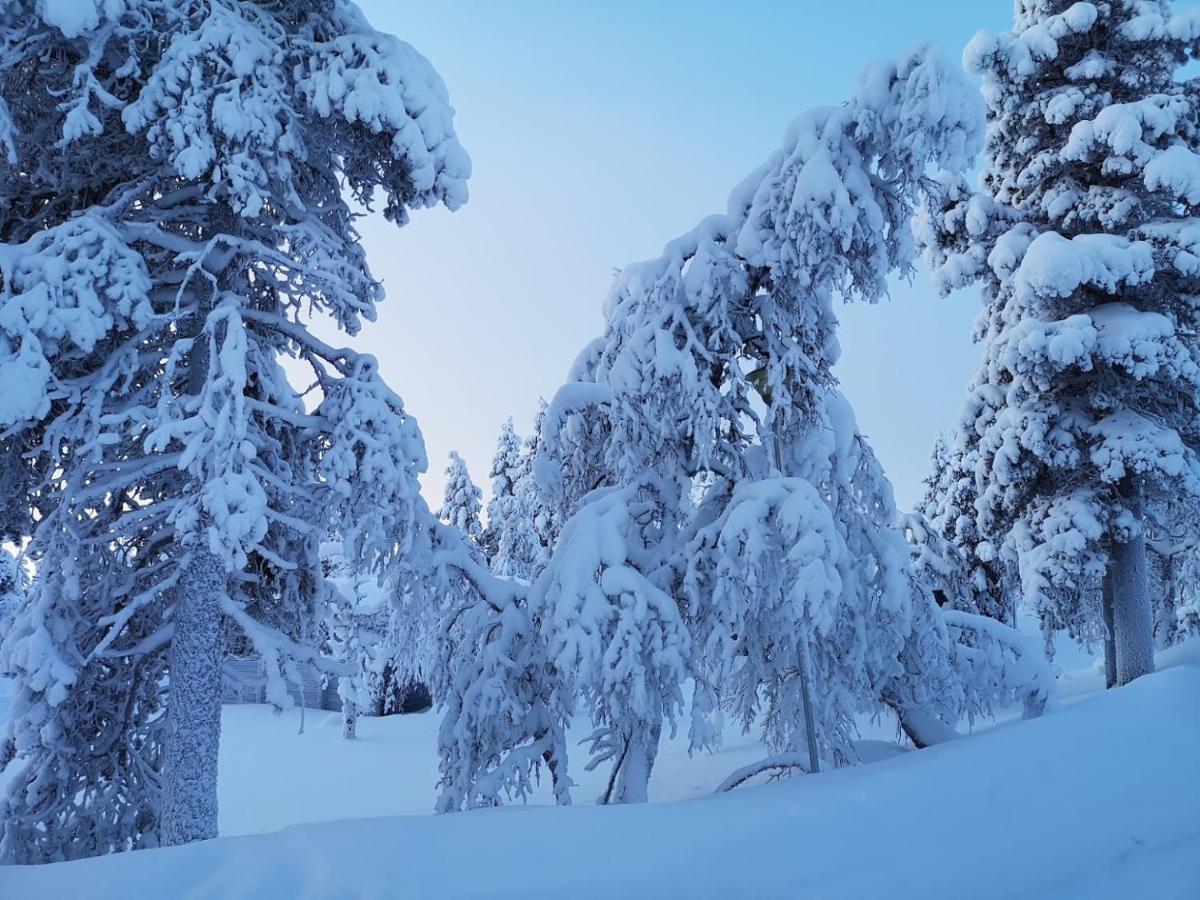 Arctic Log Cabins ซาริเซลกา ภายนอก รูปภาพ