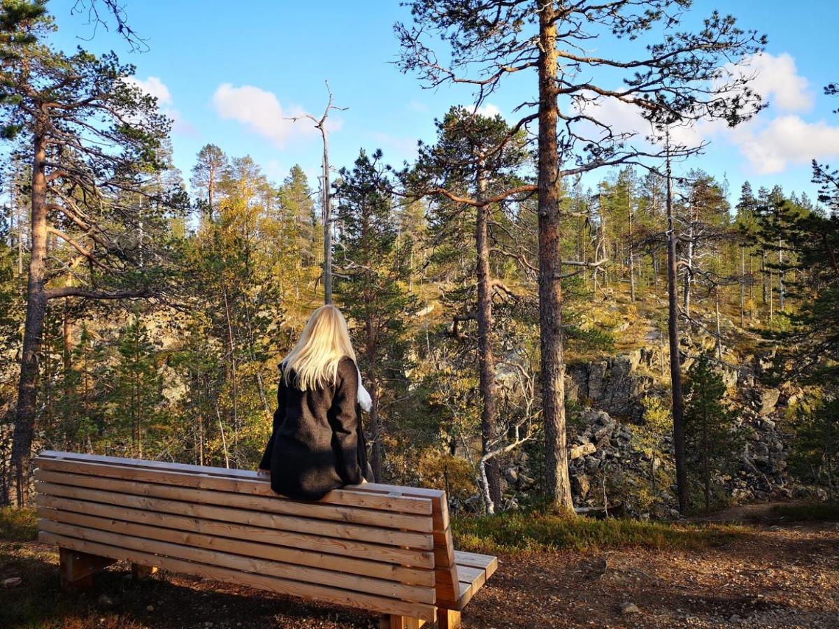 Arctic Log Cabins ซาริเซลกา ภายนอก รูปภาพ