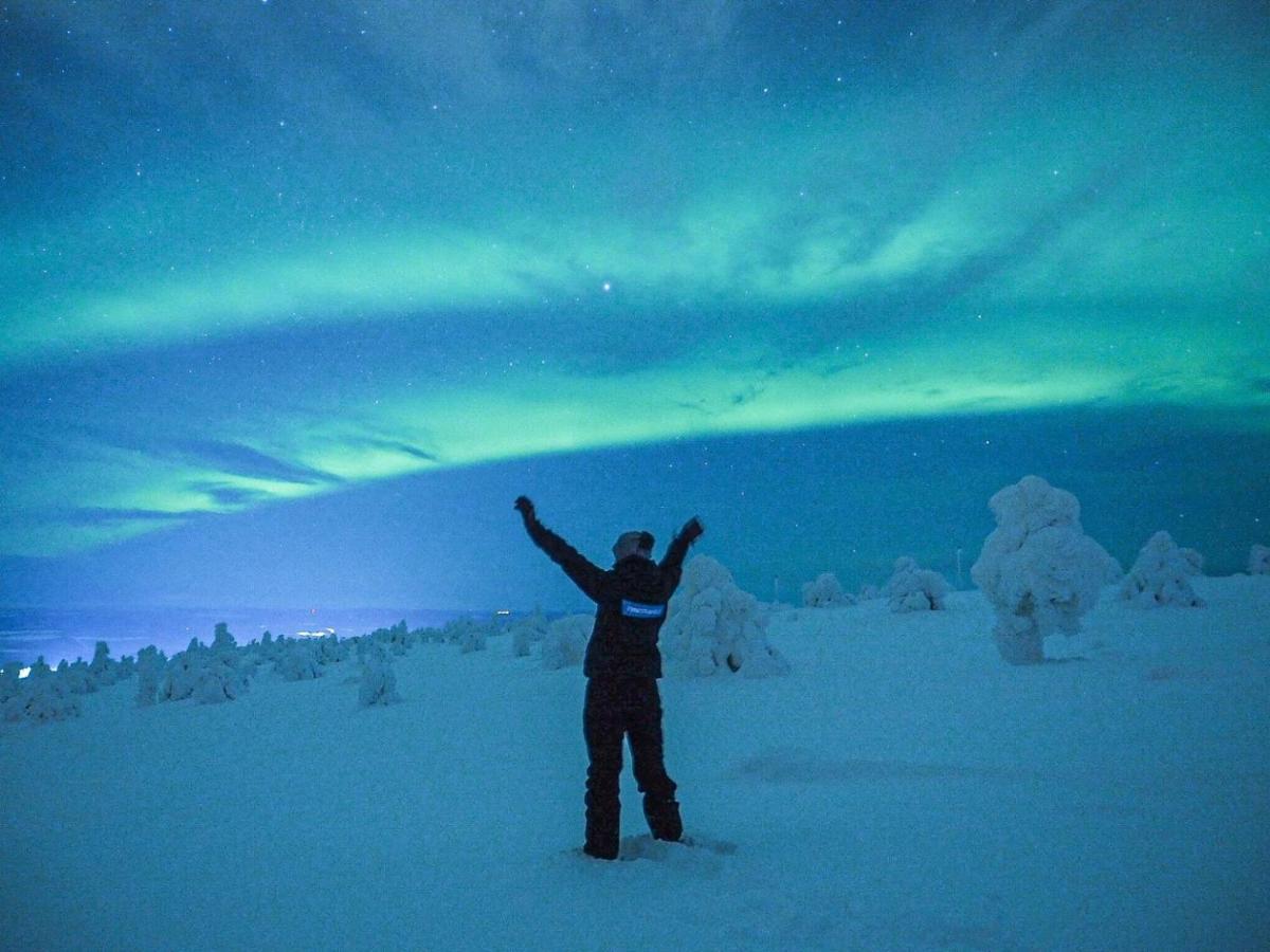 Arctic Log Cabins ซาริเซลกา ภายนอก รูปภาพ