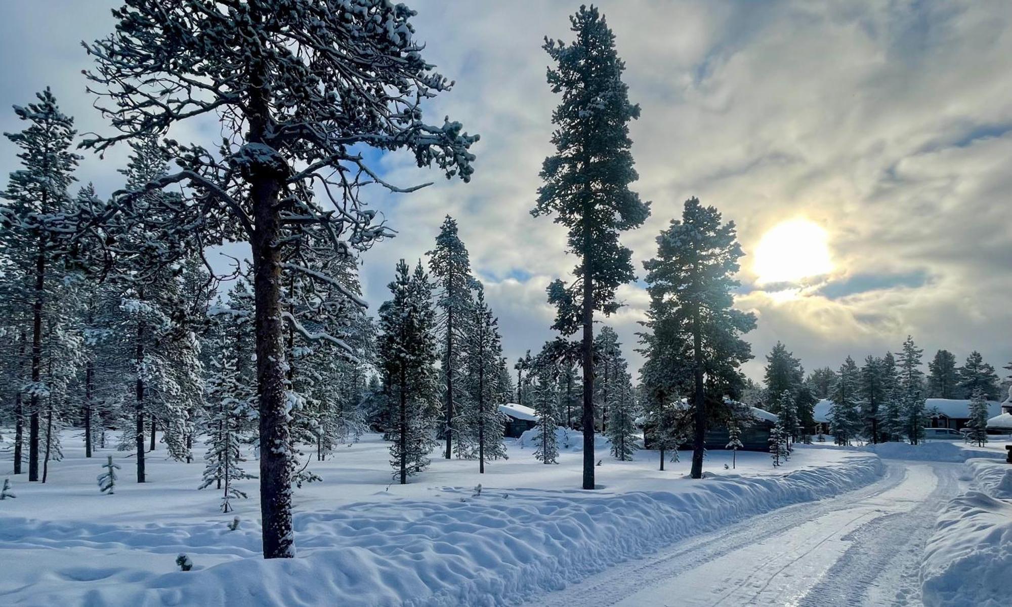Arctic Log Cabins ซาริเซลกา ภายนอก รูปภาพ