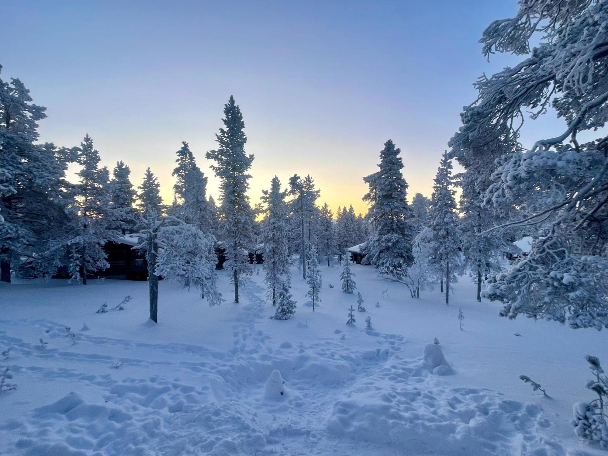 Arctic Log Cabins ซาริเซลกา ภายนอก รูปภาพ